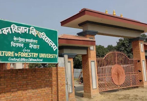 कृषि तथा वन विज्ञान विश्वविद्यालय : अध्ययन बिदा छानविन गर्न छानबिन समिति गठन कृषि तथा वन विज्ञान विश्वविद्यालय : अध्ययन बिदा छानविन गर्न छानबिन समिति गठन