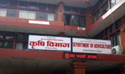 बाली लगाइएका जमिनबाट पानी निकासको व्यवस्था गर्न आह्वान बाली लगाइएका जमिनबाट पानी निकासको व्यवस्था गर्न आह्वान