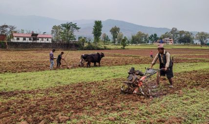 पूर्वाधारसँगै कृषि र पशुपालनमा जोड दिँदै म्याग्दे पूर्वाधारसँगै कृषि र पशुपालनमा जोड दिँदै म्याग्दे