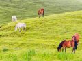 पर्यटकीय क्षेत्र मुुन्दुम पर्यटकीय क्षेत्र मुुन्दुम