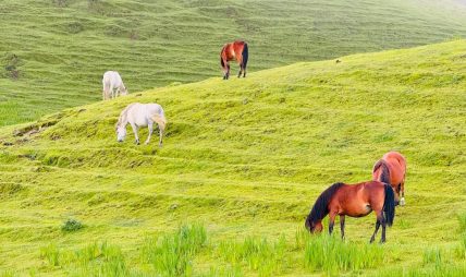 पर्यटकीय क्षेत्र मुुन्दुम पर्यटकीय क्षेत्र मुुन्दुम