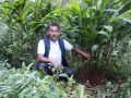 म्याग्दीमा व्यावसायिक अलैँची खेतीको परीक्षण सफल म्याग्दीमा व्यावसायिक अलैँची खेतीको परीक्षण सफल