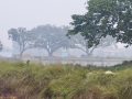 हिमाली र पहाडी क्षेत्रमा हल्का वर्षा र हिमपातको सम्भावना