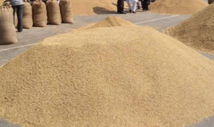 चालु आवमा ६७ करोड ५० लाखको धान खरिद गरिने