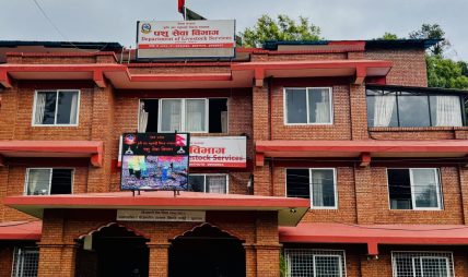मासु जाँच ऐन कार्यान्वयनका लागि उपत्यकाका २१ स्थानीय तहमा कार्यदल गठन मासु जाँच ऐन कार्यान्वयनका लागि उपत्यकाका २१ स्थानीय तहमा कार्यदल गठन