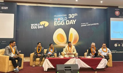 आज विश्व ‘अण्डा’ दिवस :अण्डाको उत्पादन र खपत बढाउन आवश्यक आज विश्व ‘अण्डा’ दिवस :अण्डाको उत्पादन र खपत बढाउन आवश्यक
