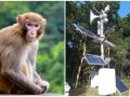 मानव–वन्यजन्तु द्वन्द्व न्यूनीकरण गर्न पूर्वसूचना प्रणाली जडान मानव–वन्यजन्तु द्वन्द्व न्यूनीकरण गर्न पूर्वसूचना प्रणाली जडान