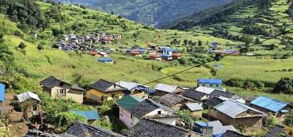 जाजरकोटका स्थानीयले जडिबुटीबाट भित्र्याए २९ करोडभन्दा बढी