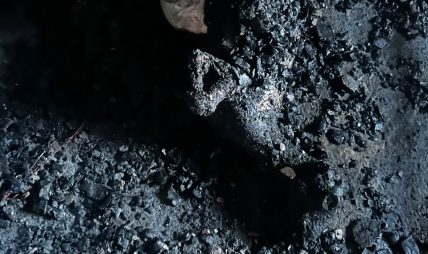 बिर्तामोडमा बडी ग्यारेजमा आगलागी हुँदा एक जनाको जलेर मृत्यु