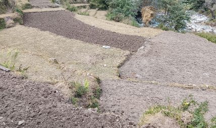 किसानका लागि भरपर्दो सारथी हाते ट्याक्टर : खेतीपातीमा नयाँ बहार